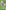 Celtic Minute by Minute: Covering More Than 500 Goals, Penalties, Red Cards and Other Intriguing Facts