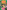Find Frida Find Frida