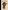 Nelson Mandela