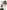 Tank Action: An Armoured Troop Commander's War 1944–45