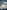 A Voice Like Velvet