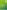 Regional Analysis Of The Nationally Determined Contributions In The Caribbean: Gaps And Opportunities In The Agriculture Sectors