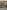 Beyond the Fell Wall