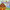 Hey Duggee: Dinosaurs: A Lift-the-Flap Book