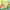 In the Forest: Can You Find