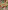 Where'S Santa'S Elf? Over 500 Things To Spot!