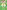 Rainbow Magic: Greta the Earth Fairy: Special