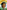 Who Was Rosa Parks?