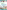 Yoga Therapy for Parkinson's Disease and Multiple Sclerosis