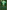 Seven Endless Forests