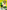 Hero Academy: Oxford Level 9, Gold Book Band: The Pea-souper