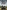 The Armoured Campaign in Normandy: June - August 1944