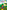 The Anne of Green Gables Collection