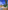 Claude Monet: The Truth of Nature