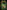 The Lost Expedition: A game of survival in the Amazon