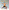 Ashtanga Yoga: Yoga in the Tradition of Sri K. Pattabhi Jois : The Primary Series Practice Manual