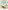 Plantopia: Cultivate / Create / Soothe / Nourish