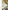 Onsen of Japan: Japan’s Best Hot Springs and Bathhouses