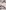 Plume - 9780008194413