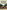 Broadmoor Revealed: Victorian Crime and the Lunatic Asylum