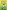 Different Class: The Story Of Laurie Cunningham