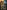 Sons Of Rome - 9781800242029 Sons Of Rome - 9781800242029