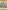 The Speckled Band Speculation