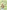 Anne of Green Gables: Illustrated by Susan Hellard