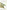 The Tropic of Serpents: A Memoir by Lady Trent