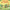 Hop Little Bunnies: A Lift-the-Flap Adventure
