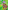 Project X CODE Extra: Yellow Book Band, Oxford Level 3: Bugtastic: Bug Trail