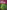 Trees of Missouri Field Guide