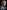 America's Future: Biden And The Progressives