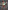 Dance Theatre of Harlem: A History, A Movement, A Celebration