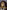 Catholica: The Visual Culture of Catholicism
