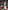 Rugby World Cup Review 2020