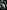 Star Wars Skywalker – A Family At War