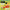 Cook This, Not That! Kitchen Survival Guide: The No-Diet Weight Loss Solution