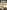 Three Hours