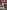 Travel and Transport