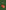 Tomato: A Global History