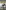 War Without Garlands: Operation Barbarossa 1941-1942