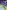 LEGO Magical Ideas: With Exclusive LEGO Neon Dragon Model