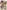 FAIRY TAIL: 100 Years Quest 9