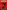 Champion: A German Boxer, a Jewish Assassin and Hitler’s Revenge