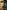 A Single Thread - 9780008153847 A Single Thread - 9780008153847