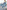 Beautiful Wild - 9780062679864 Beautiful Wild - 9780062679864