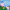 Peppa Pig: Where's Peppa?