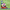 Peppa Pig: Granny and Grandpa Pig's Day Out