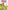 Gigantic Coloring Book Of Bible Stories, The